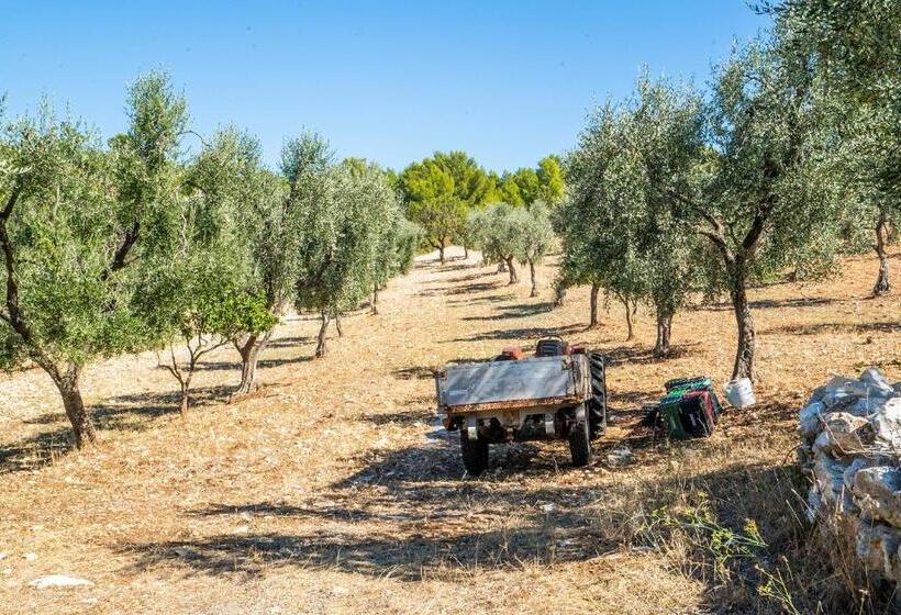 Casa Colletta Vieste