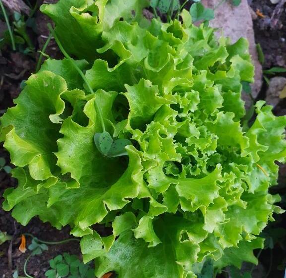 فندق Resort San Nicola   Restaurant And Wellness Fitness