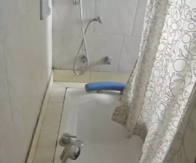 تختخواب و صبحانه América