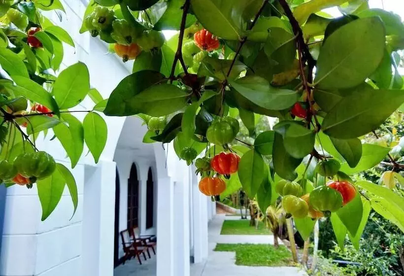 Aamiaismajoitus (B&B) Ovitiyas Bandarawela