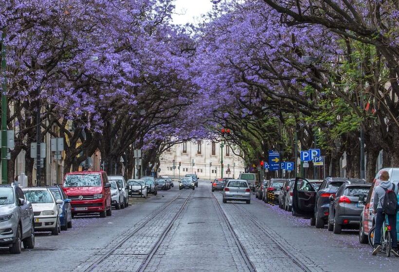 Hermitage Castelo   Casa Chafariz