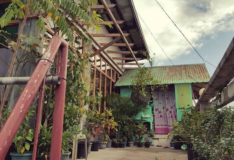 Mingle In Baler   Hostel