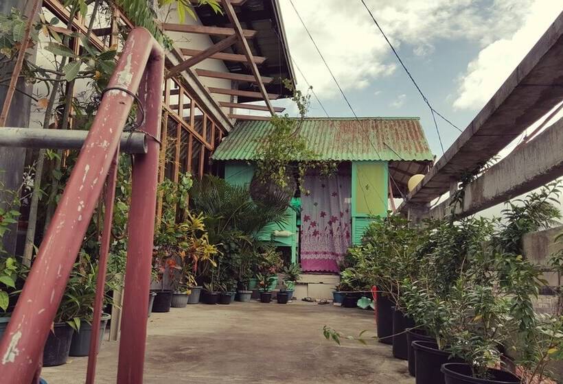 Mingle In Baler   Hostel