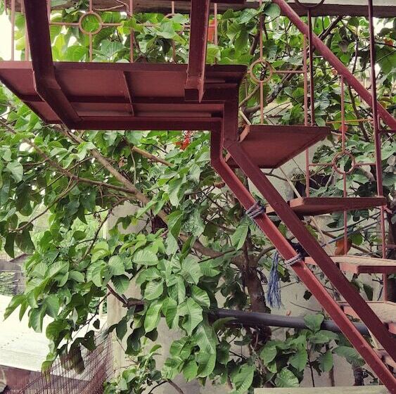 Mingle In Baler   Hostel