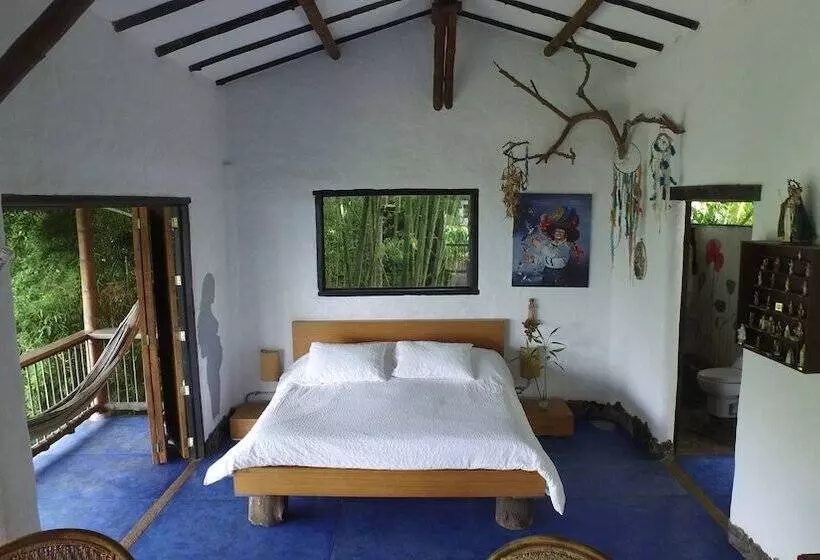 Viga Vieja El Arbol By Nomad Guru
