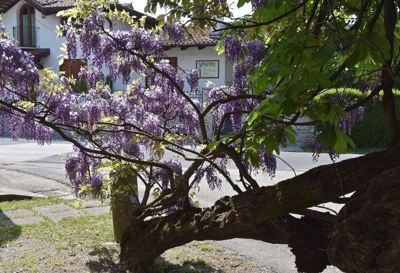 Al Vecchio Glicine Bed & Breakfast