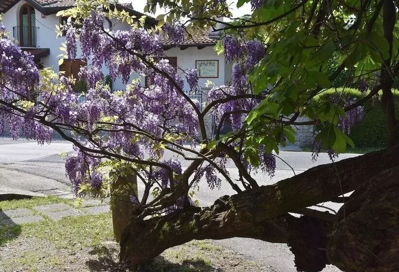 Al Vecchio Glicine   Bed & Breakfast