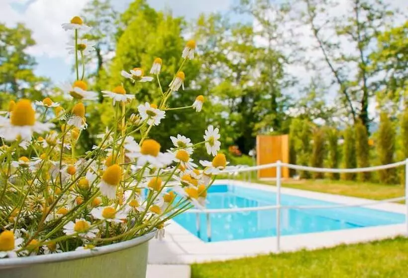 Majatalo Aristotelia Gi