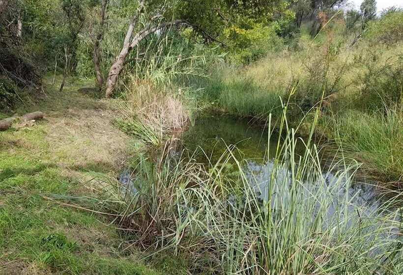 펜션 Engedi Retreat