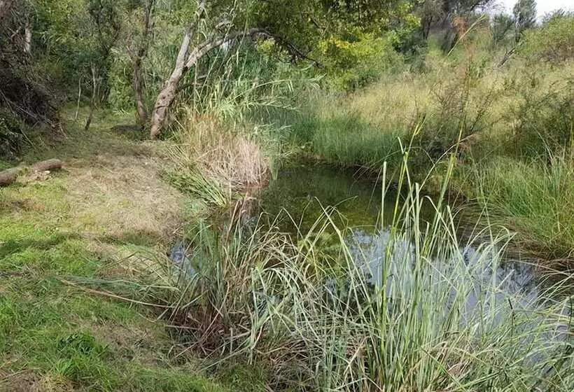 پانسیون Engedi Retreat