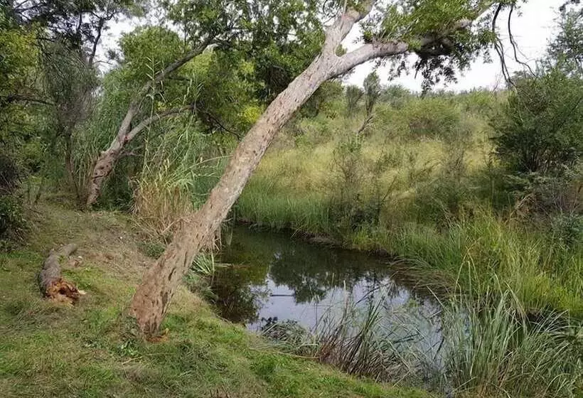 پانسیون Engedi Retreat