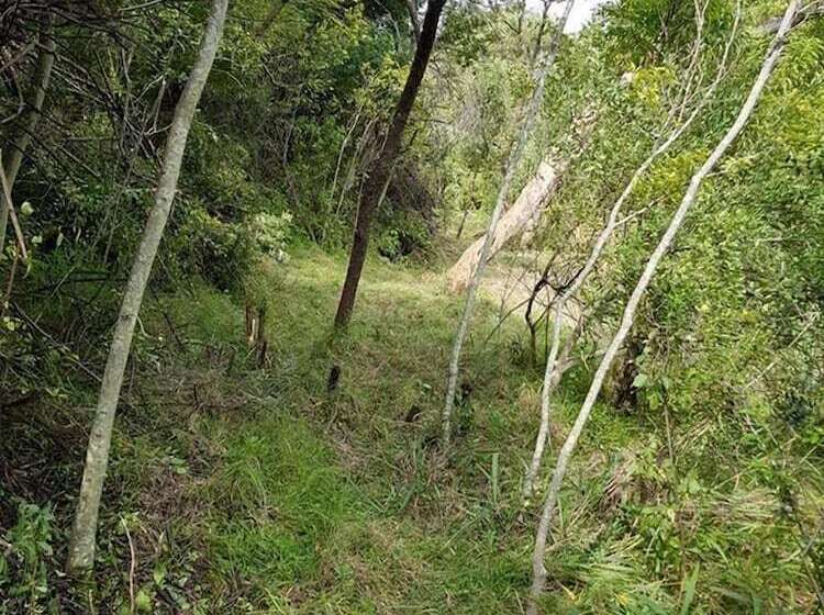 펜션 Engedi Retreat