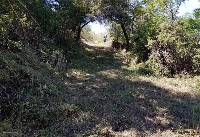 펜션 Engedi Retreat