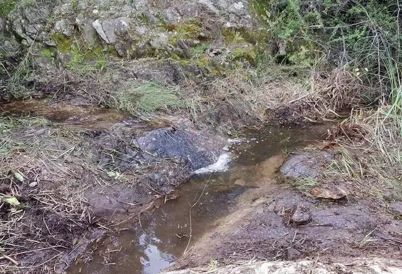 پانسیون Engedi Retreat