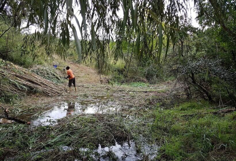 펜션 Engedi Retreat