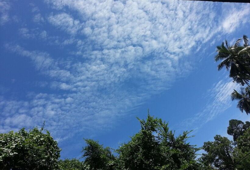 ペンション Villa Vidura