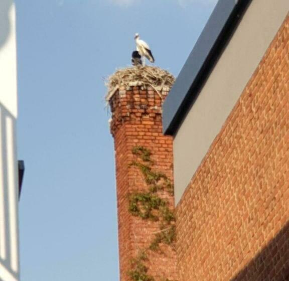 Ferienwohnung Am Rathaus