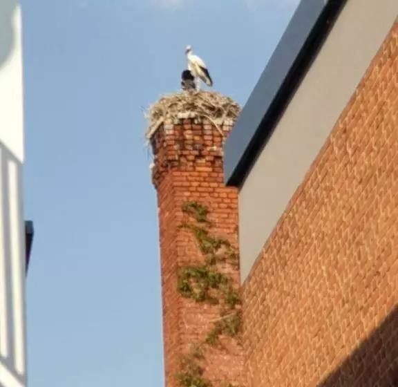 Ferienwohnung Am Rathaus