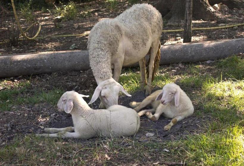 בית מלון כפרי Agriturismo Massoserpente