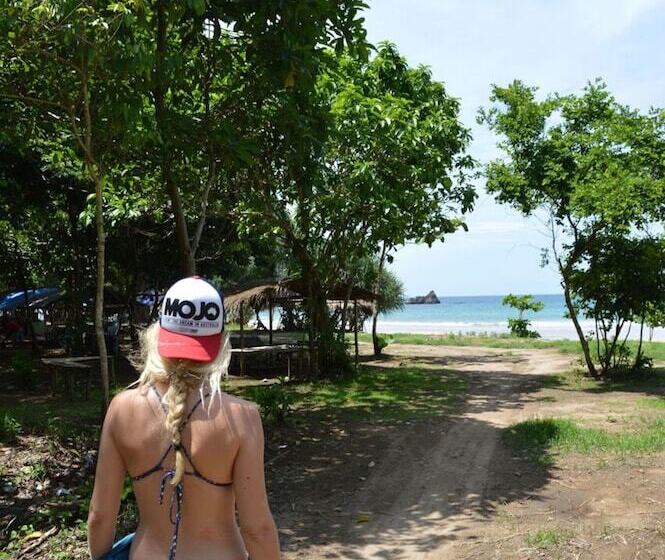 Mojosurf Camp Canggu Hostel