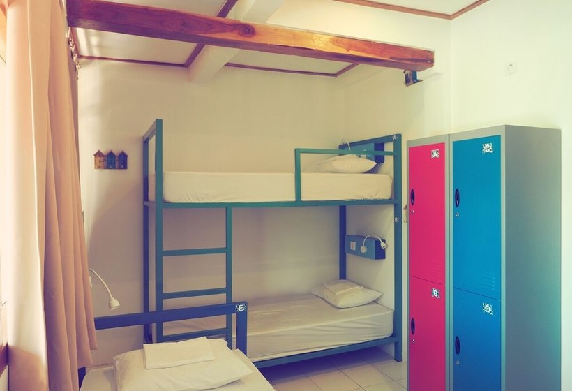 Общежитие The Palm Komodo