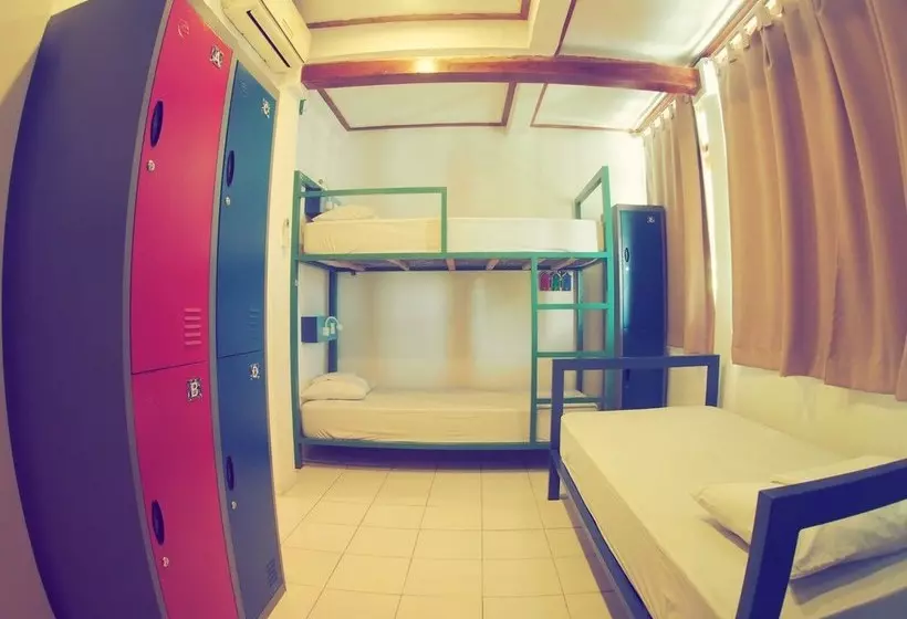 هاستل The Palm Komodo