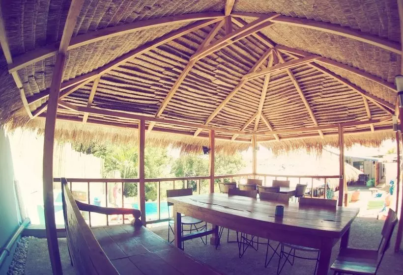 هاستل The Palm Komodo