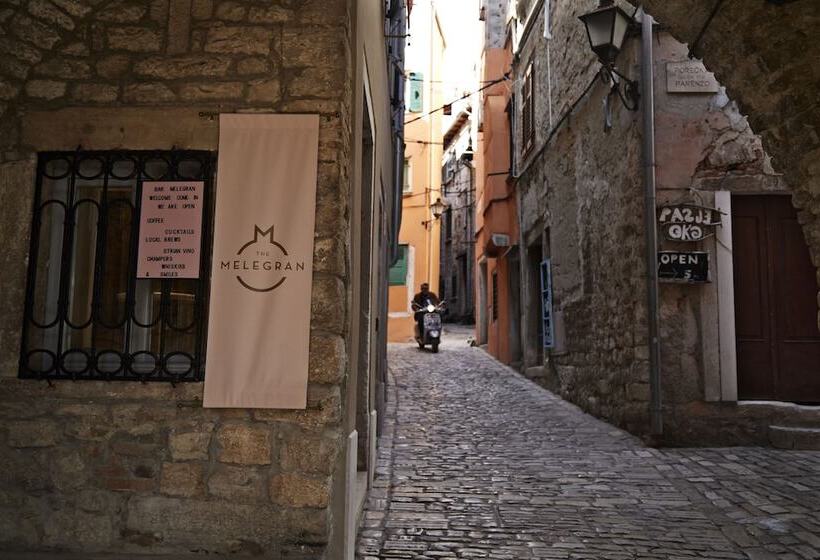 בית מלון כפרי The Melegran