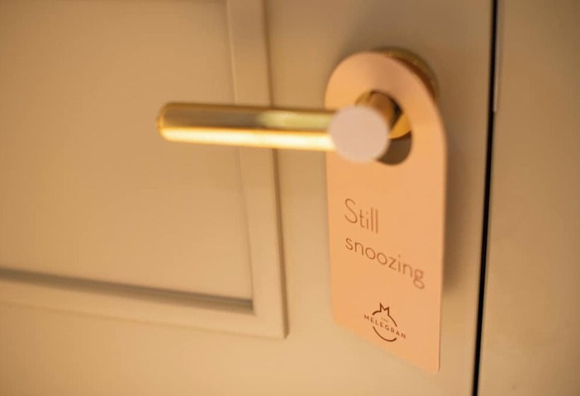 בית מלון כפרי The Melegran