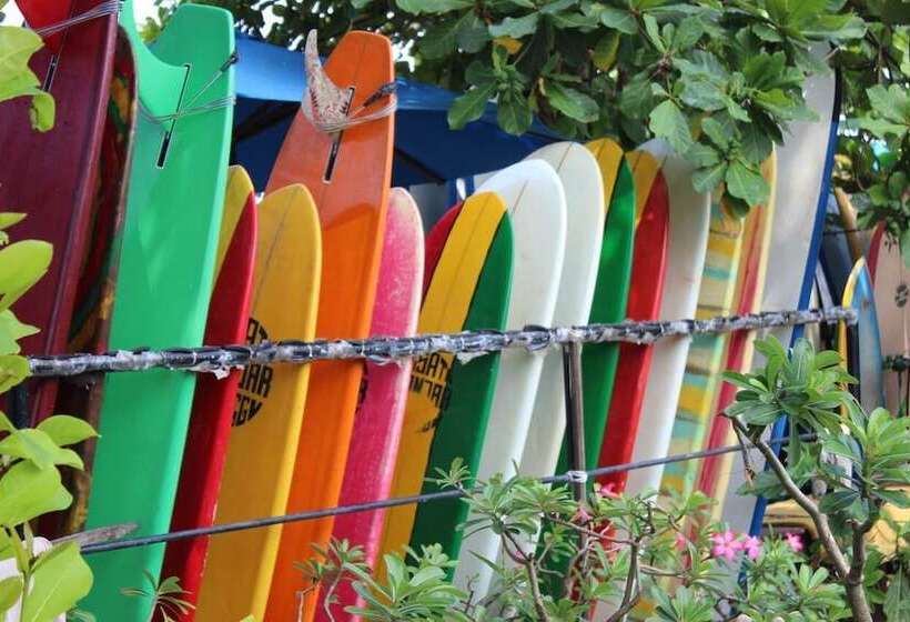 Mojosurf Camp Canggu Hostel