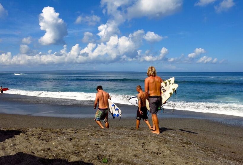 Mojosurf Camp Canggu Hostel