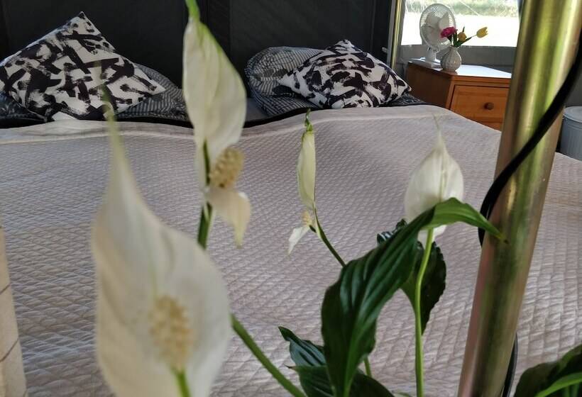 پانسیون Godaland Guesthouse