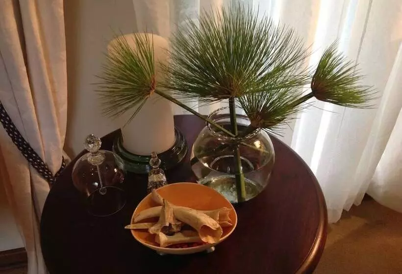 پانسیون Plumbago guest house