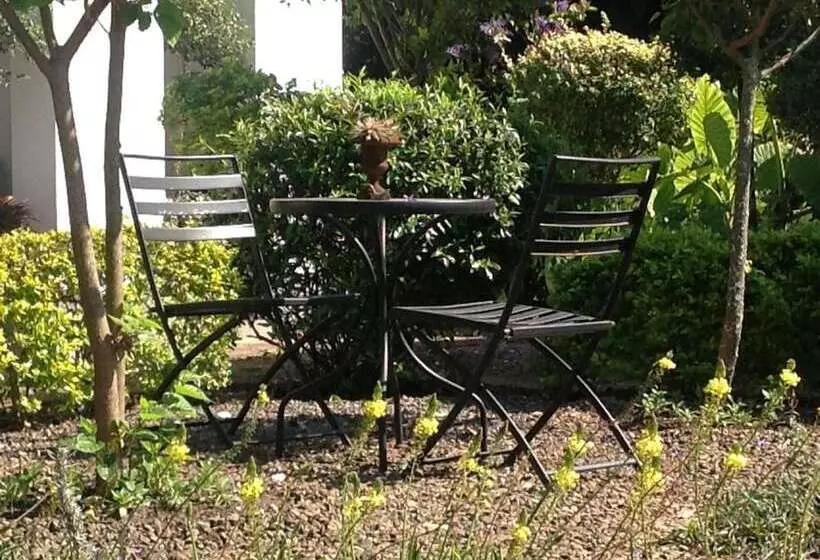 پانسیون Plumbago guest house