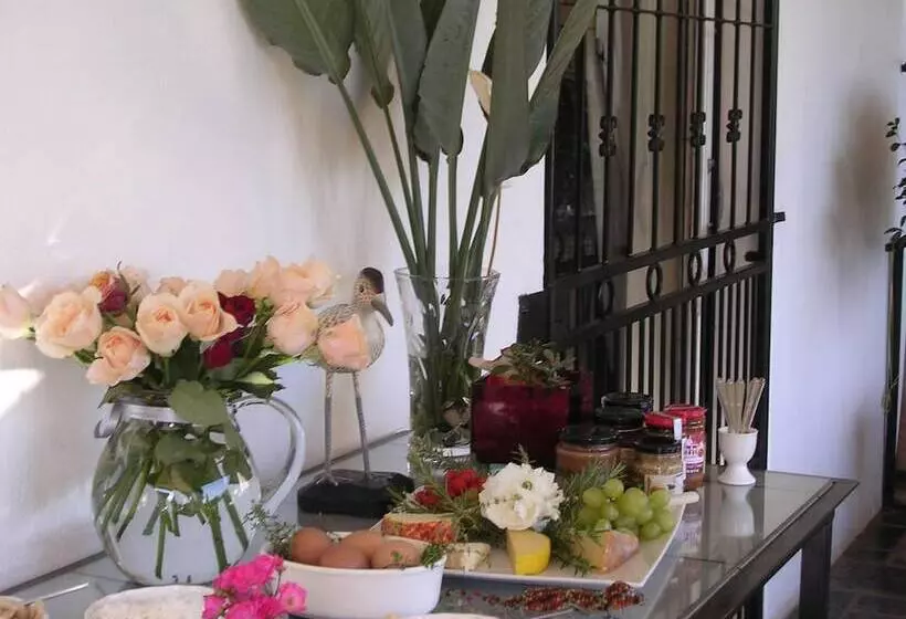 پانسیون Plumbago guest house