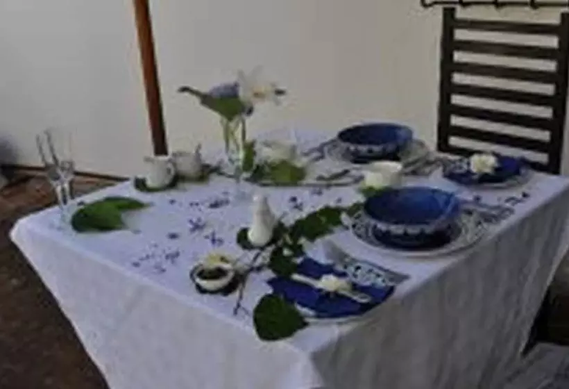 پانسیون Plumbago guest house