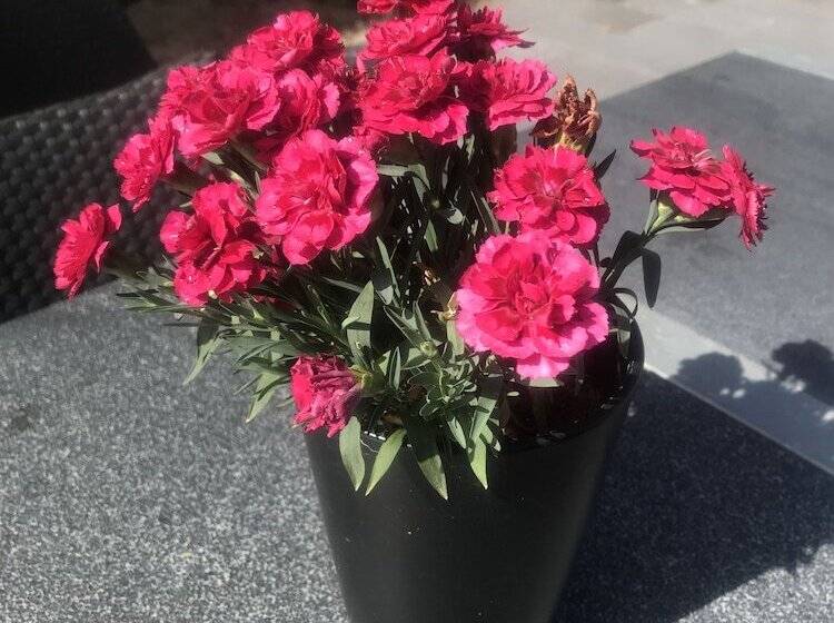 Bed and Breakfast Hilmors Overnatning