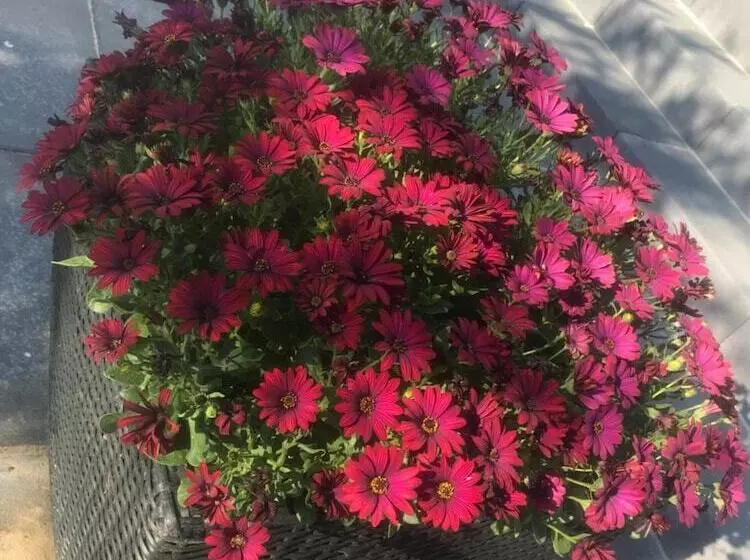 Aamiaismajoitus (B&B) Hilmors Overnatning