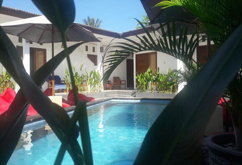 پانسیون Cape Rose2