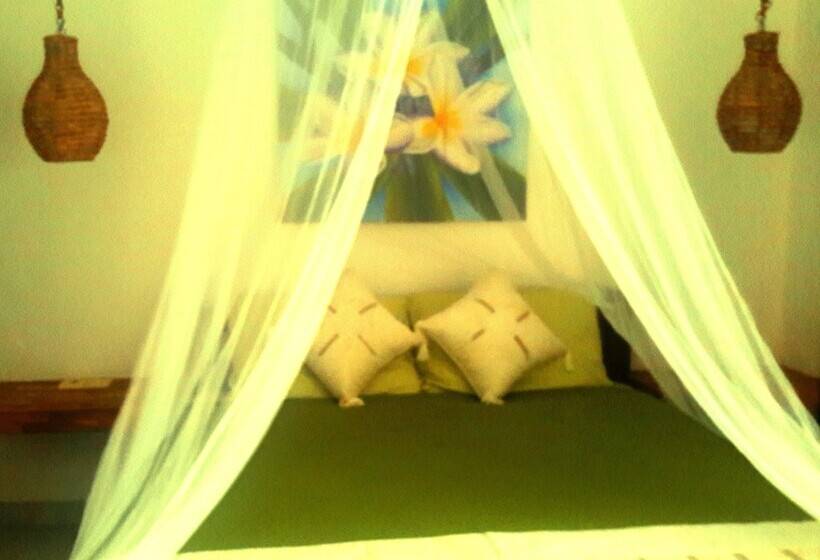 پانسیون Cape Rose2