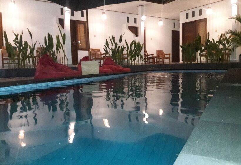 پانسیون Cape Rose2