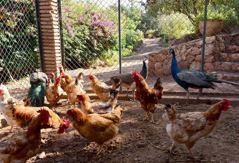 ペンション Domaine La Source