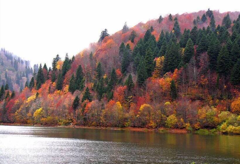 پانسیون Guest House Caucasus