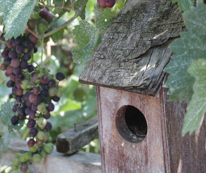 پانسیون Guest House Caucasus