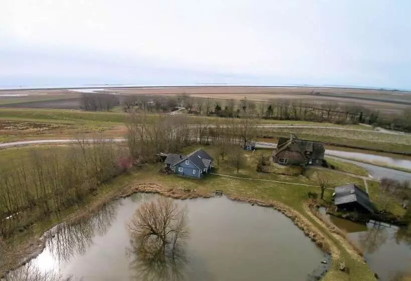 Reetdachhaus Bongsiel