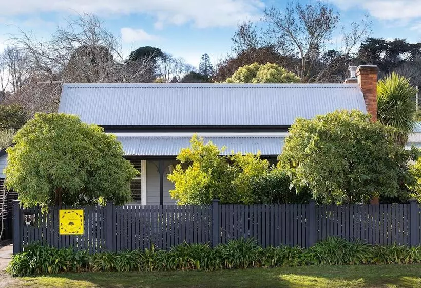 The Lemontree