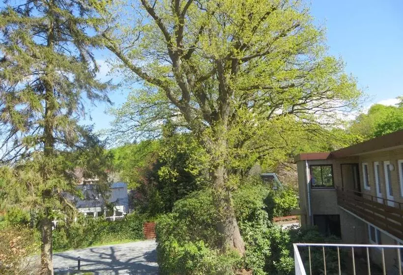 Haus Panoramic