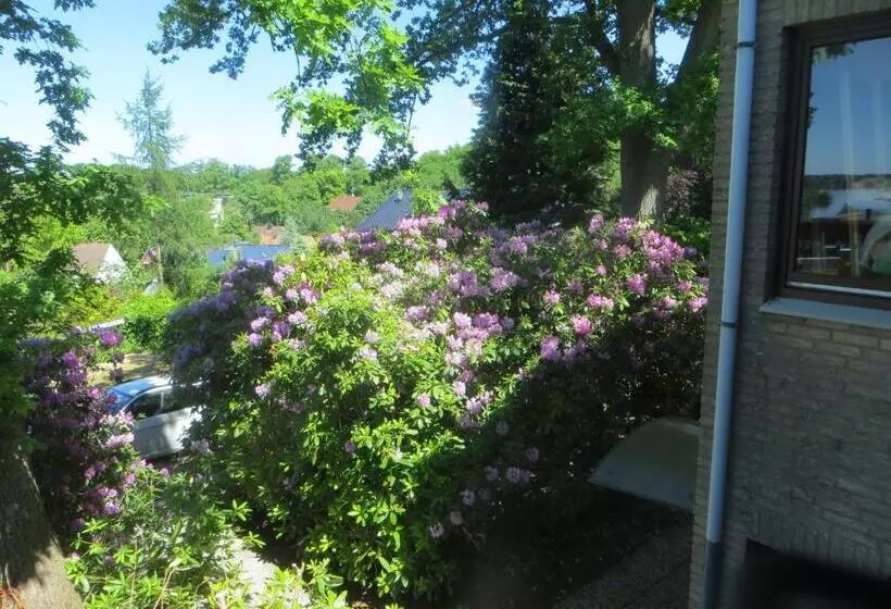 Haus Panoramic