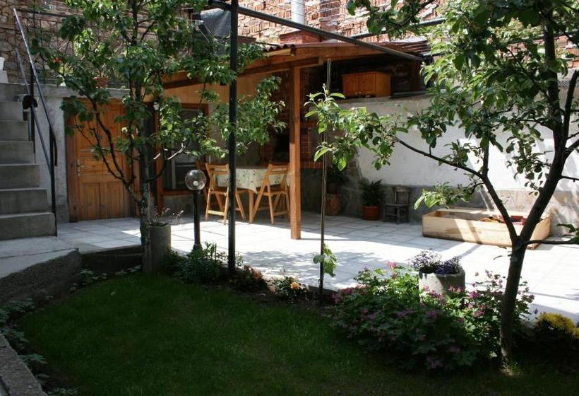 Aseva House Guest House