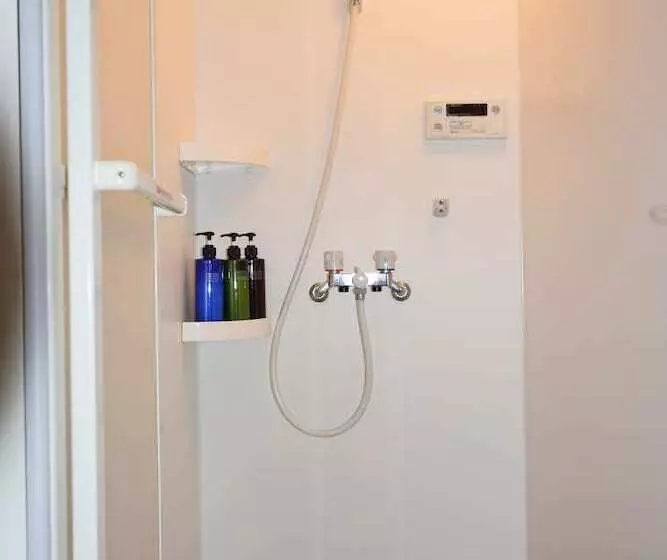 Mt Apartment